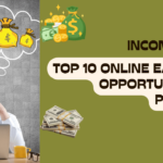 Pakistan’s Top 10 Online Income Opportunities